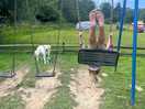 Fun in the park