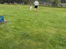 Walking to see the cows
