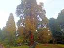 Jardin municipal