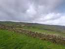 The view