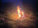 Campfire with the purchased wood