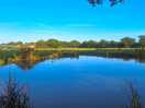 Pond in woodland behind campsite