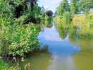 View of dead tree fishing lake.
