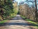 Great location for lovely forest walks