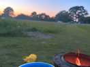 Campfire at sunset