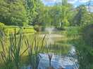 Pond