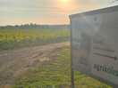 Schild