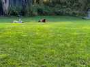 Childs playing