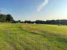 The main field