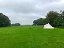 Our bell tent was so peaceful