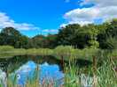 Lakeside view