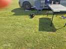 Our pitch really good size