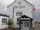 Dog friendly pub
