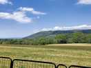 Stunning views