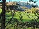 View from our caravan. beautiful