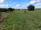 Site