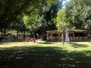 Struttura bar/ ristorante immersa nel verde