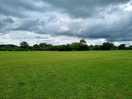 Beautiful grass and scenery