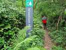 Great woodland walk from campsite
