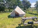 Camping pitch, dog friendly