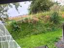 Our view from our caravan