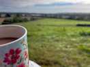Morning tea