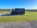 Campsite pitches