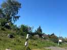 Beautiful day