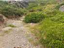 Coastal walk