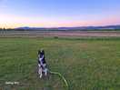 Lunas first camping trip