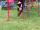 Kids park area they were never off it x