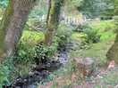 Dartmoor national park