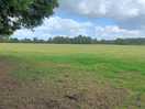 Camping field