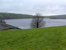 The lake