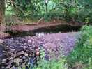 More river - would be rude not to