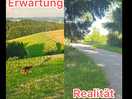 Erwartung und realität