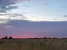 View in the evening.