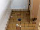 Dirty toilets at sands bar