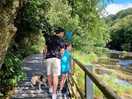 5 min walk to falls lovely walk