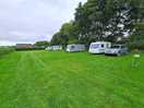 Pitches shaded by tall trees