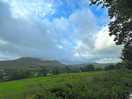 View from road leading into the campsite