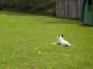 Purdie chilling