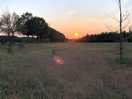 Sunset by the campsite