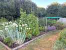 Nearby allotments
