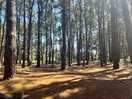 Walkers paradise with the nature reserve on your doorstep.