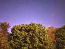 Just a taste of the night sky!