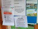 Notice board