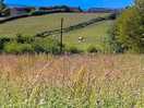 View towards whitby