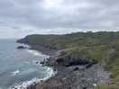 Walk to the lizard peninsula