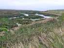The estuary